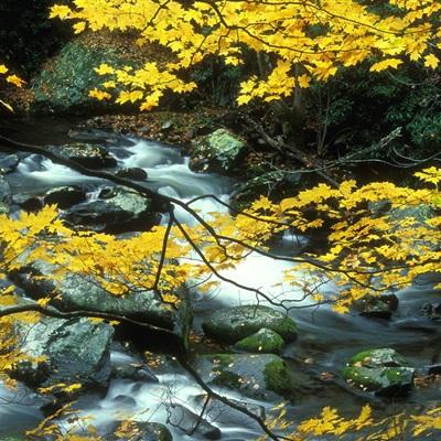 仙侠问道2百度登录版本下载